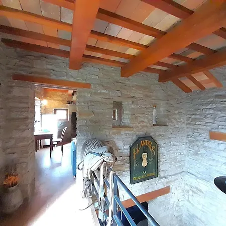 Elegant Stone With Swimming Pool